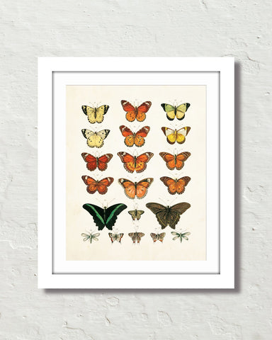 Teal & Rust Butterfly Embellished Fine Art Print in Vintage Frame, 1 - The  Copper Wolf