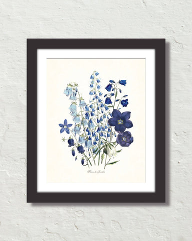 Fleurs De Jardin Plate 1 Botanical Art Print