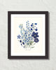Fleurs De Jardin Plate 1 Botanical Art Print