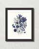 Fleurs De Jardin Plate 2 Botanical Art Print