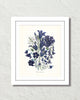 Fleurs De Jardin Plate 2 Botanical Art Print