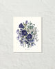 Fleurs De Jardin Plate 3 Botanical Art Print