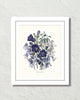 Fleurs De Jardin Plate 3 Botanical Art Print