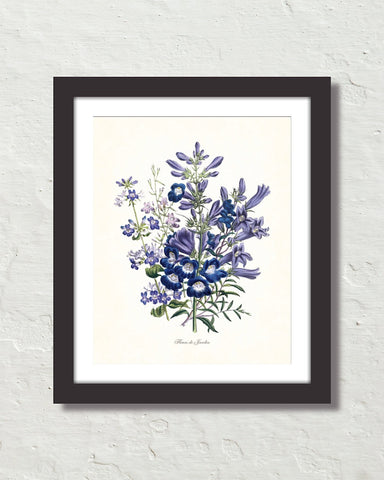 Fleurs De Jardin Plate 4 Botanical Art Print