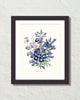 Fleurs De Jardin Plate 4 Botanical Art Print