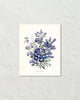 Fleurs De Jardin Plate 4 Botanical Art Print