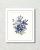 Fleurs De Jardin Plate 4 Botanical Art Print