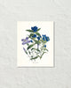 Fleurs De Jardin Plate 5 Botanical Art Print