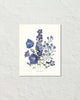 Fleurs De Jardin Plate 6 Botanical Art Print