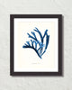 Vintage Indigo Blue British Seaweed No. 1 Print