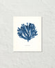 Vintage Indigo Blue Sea Kelp No. 5 Print