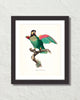 Vintage French Parrot No. 5 Art Print