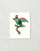 Vintage French Parrot No. 5 Art Print