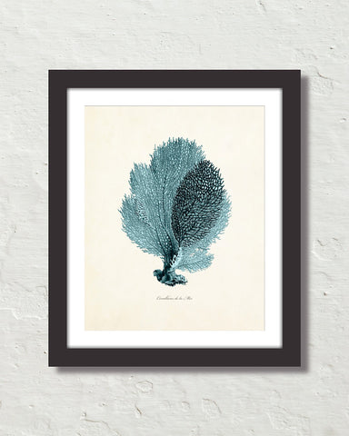 Vintage Sea Coral Series Teal Plate 2 Print