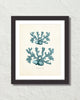 Vintage Sea Coral Series Teal Plate 4 Print