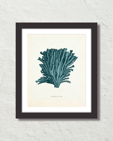 Vintage Sea Coral Series Teal Plate 5 Print