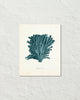 Vintage Sea Coral Series Teal Plate 5 Print