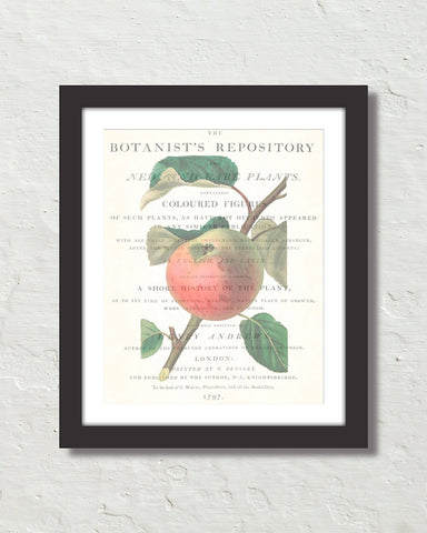 Vintage Apple Collage No. 2