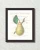 Vintage Pear Collage No. 2