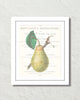 Vintage Pear Collage No. 2