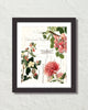 Spring Study Plate 1 Art Print