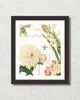 Spring Study Plate 2 Art Print