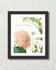 Spring Study Plate Canvas Art Print Set