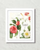 Spring Study Plate 4 Art Print