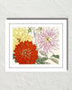 Vintage Japanese Woodblock No. 24 Giclee Art Print