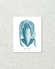 Vintage Aqua Squid No. 2 Natural History Art Print