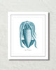 Vintage Aqua Squid No. 2 Natural History Art Print