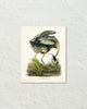 Vintage Audubon Great Blue Heron Bird Art Print