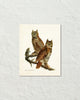 Vintage Audubon Great Horned Owl Bird Art Print