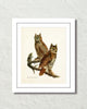 Vintage Audubon Great Horned Owl Bird Art Print