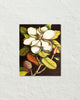 Vintage Magnolia No. 55 Art Print