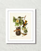 Vintage Audubon Northern Oriole Bird Art Print
