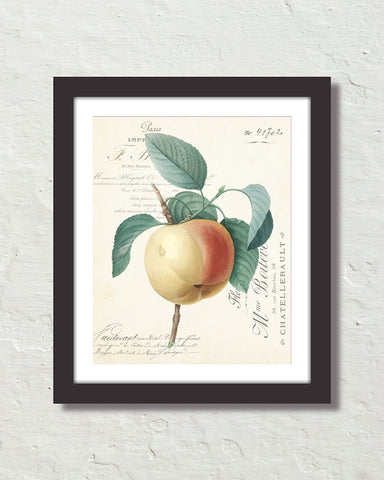 French Apple Collage Fruit Art Print