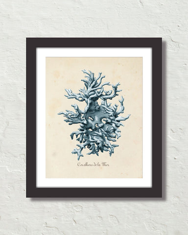 Les Coralliens Blue Sea Coral No. 1 Art Print