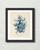 Les Coralliens Blue Sea Coral No. 1 Art Print