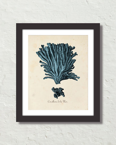 Les Coralliens Blue Sea Coral No. 2 Art Print