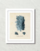 Les Coralliens Blue Sea Coral No. 3 Art Print