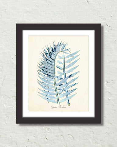 Vintage Palm Frond Art Print