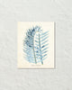 Vintage Palm Frond Art Print