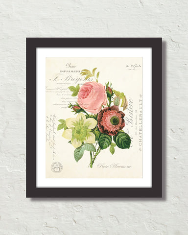 French Rose Anemone Collage Botanical Art Print