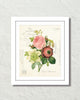 French Rose Anemone Collage Botanical Art Print