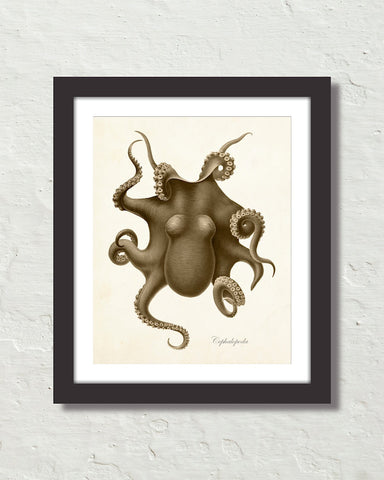 Vintage Octopus No. 3 Sepia Color Art Print
