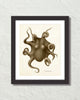 Vintage Octopus No. 3 Sepia Color Art Print
