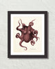 Vintage Octopus No. 1 Smokey Wine Color Art Print