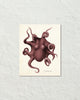 Vintage Octopus No. 1 Smokey Wine Color Art Print