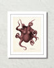 Vintage Octopus No. 1 Smokey Wine Color Art Print